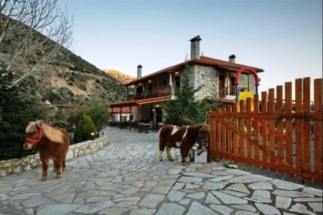 דימיטסאנה Koustenis Village מראה חיצוני תמונה